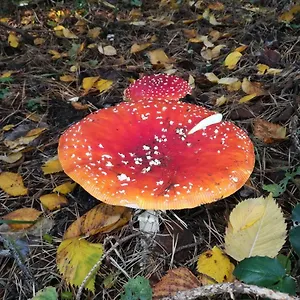 In Köpenick , Berlin Deutschland